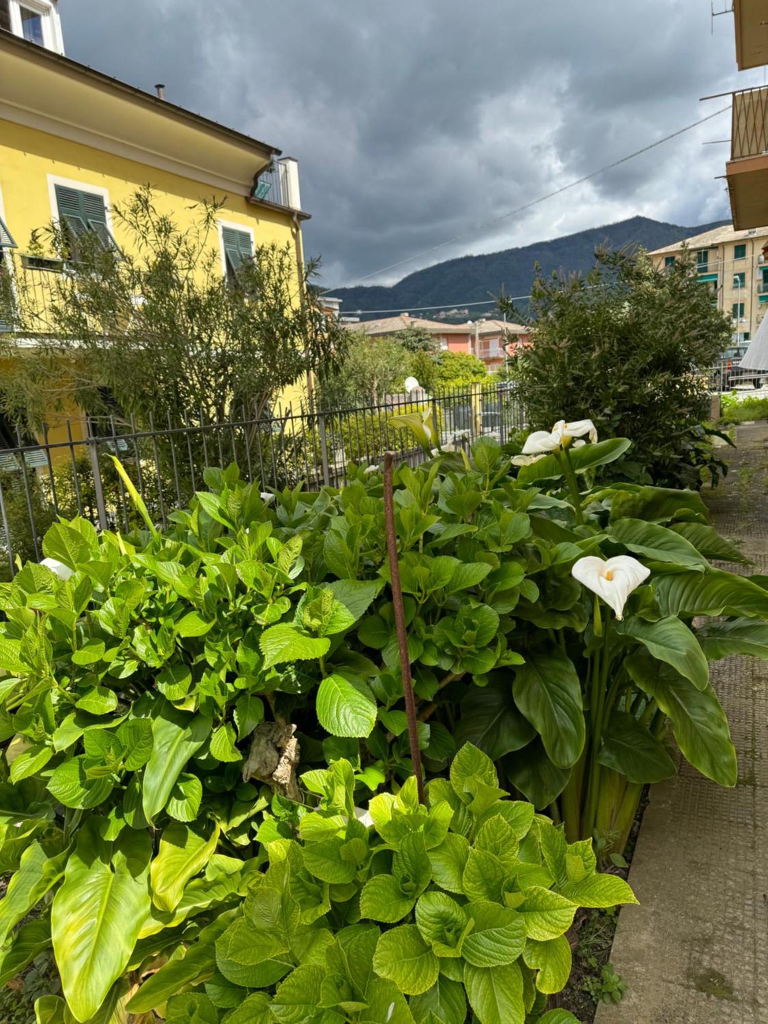 Appartamento Marilyn Levanto Exteriör bild